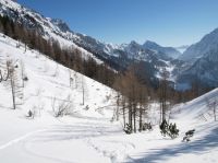 Klik za večjo sliko