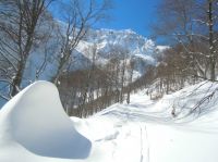 Klik za večjo sliko