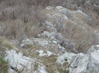 Klik za večjo sliko