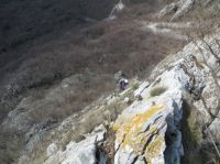 Klik za večjo sliko