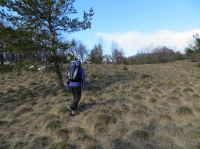 Klik za večjo sliko