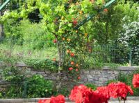 Klik za večjo sliko