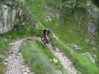 Klik za večjo sliko