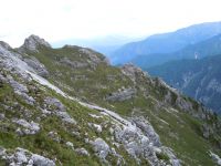 Klik za večjo sliko