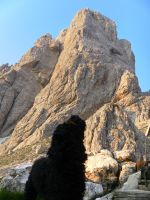 Klik za večjo sliko