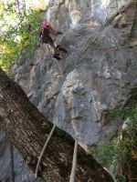 Klik za večjo sliko