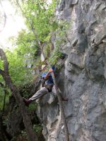 Klik za večjo sliko