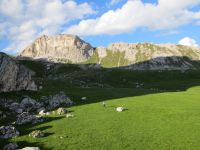 Klik za večjo sliko