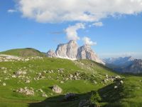 Klik za večjo sliko