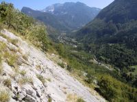 Klik za večjo sliko