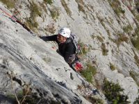 Klik za večjo sliko