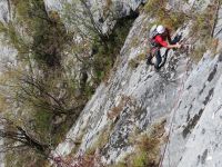 Klik za večjo sliko