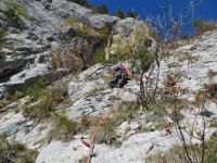 Klik za večjo sliko