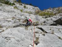 Klik za večjo sliko