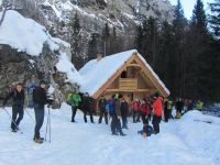 Klik za večjo sliko