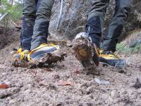 Klik za večjo sliko