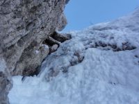 Klik za večjo sliko