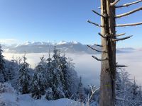 Klik za večjo sliko