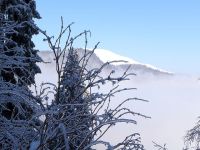 Klik za večjo sliko