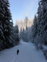 Klik za večjo sliko