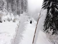 Klik za večjo sliko