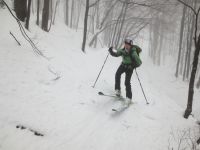 Klik za večjo sliko