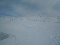 Klik za večjo sliko