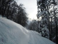 Klik za večjo sliko