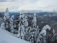 Klik za večjo sliko