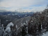 Klik za večjo sliko