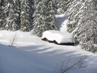 Klik za večjo sliko