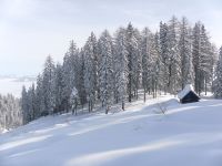 Klik za večjo sliko