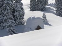 Klik za večjo sliko