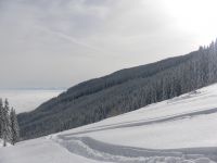 Klik za večjo sliko