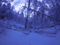 Klik za večjo sliko