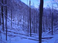 Klik za večjo sliko