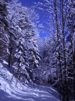 Klik za večjo sliko