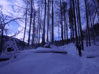 Klik za večjo sliko