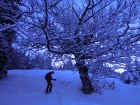 Klik za večjo sliko