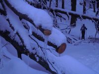 Klik za večjo sliko