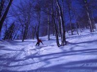 Klik za večjo sliko