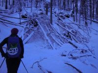 Klik za večjo sliko