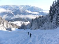 Klik za večjo sliko