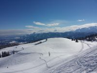 Klik za večjo sliko