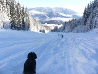 Klik za večjo sliko