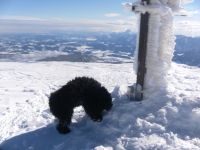 Klik za večjo sliko