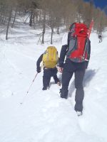 Klik za večjo sliko