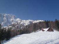 Klik za večjo sliko