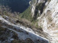 Klik za večjo sliko