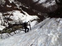 Klik za večjo sliko